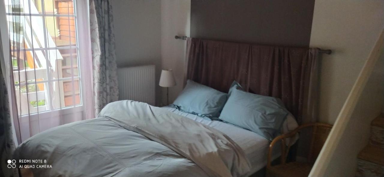 Logement Independant Attenant A Une Maison Dans Grand Jardin Retournac Екстер'єр фото